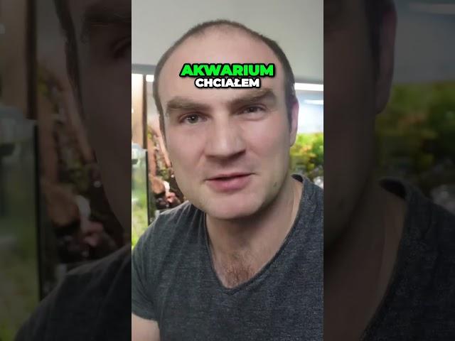 Zakładamy 54l akwarium   #akwarystyka