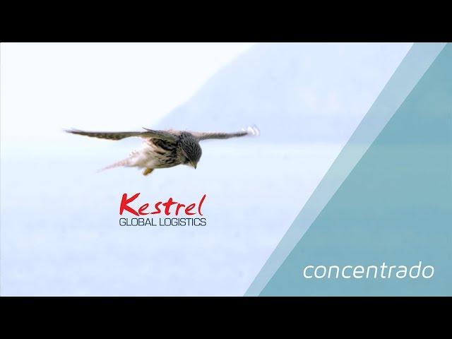 Kestrel Global Shipping