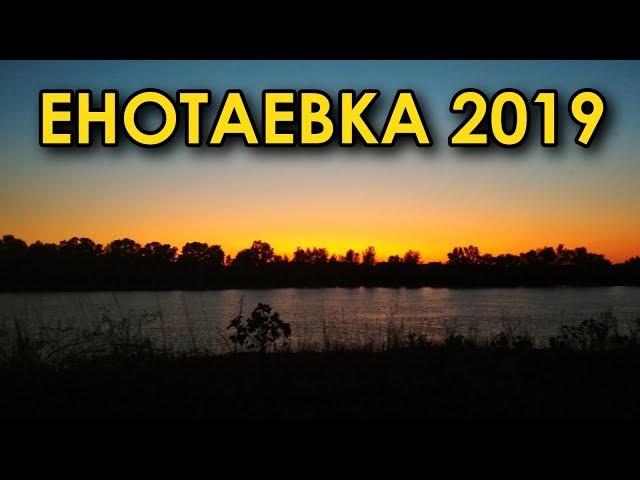 Енотаевка 2019