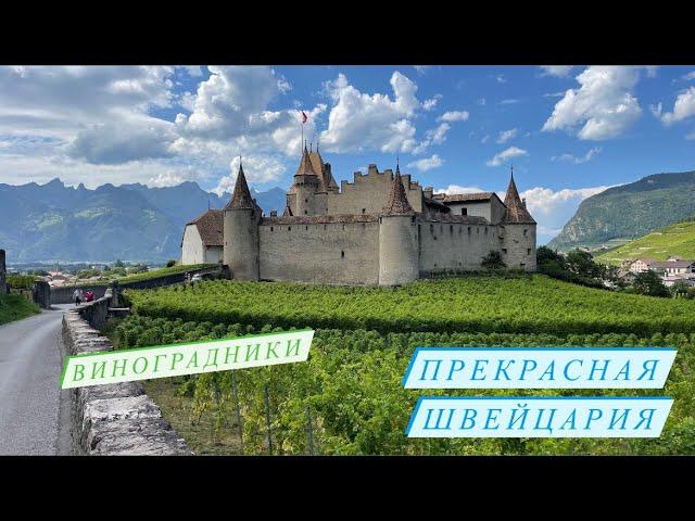 Виноградники Лаво и замок Эгль. Путешествие по Швейцарии и Лихтенштейну. Первая серия.