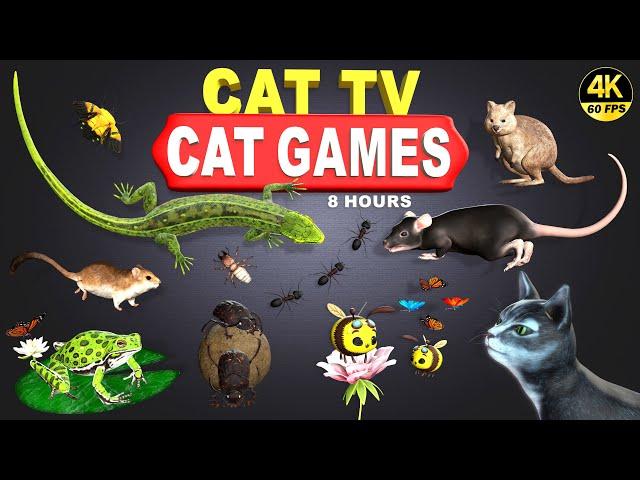 CAT GAMES | THE ULTIMATE CAT TV COMPILATION FOR FELINE FRIENDS | GAMES FOR PETS 4K 8 HOURS