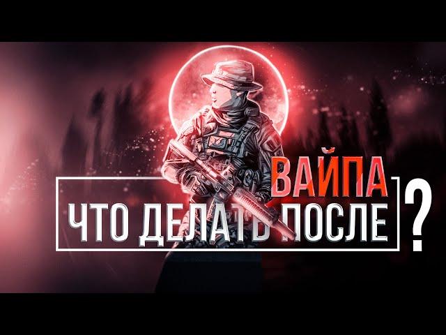 Что делать после Вайпа? 11 Советов