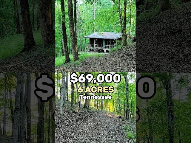 Fixer-Upper with Forest Dreams on 6 Acres of Potential. $69,000, Tennessee