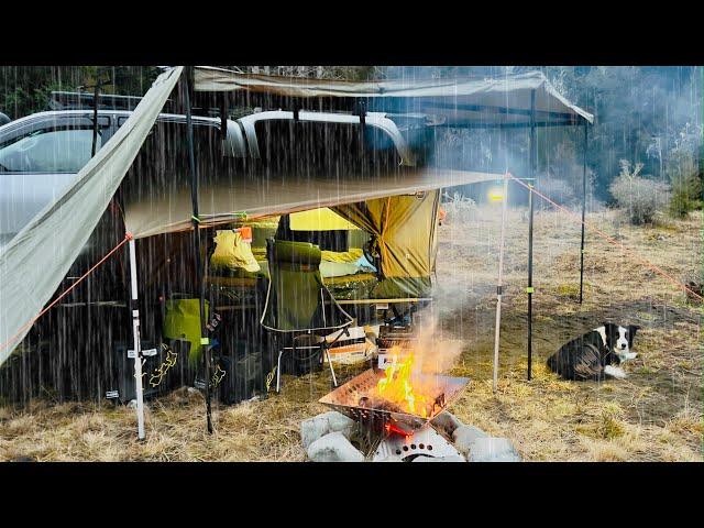 CAMPING in RAIN - Elevated TENT - Fire pit -  dog