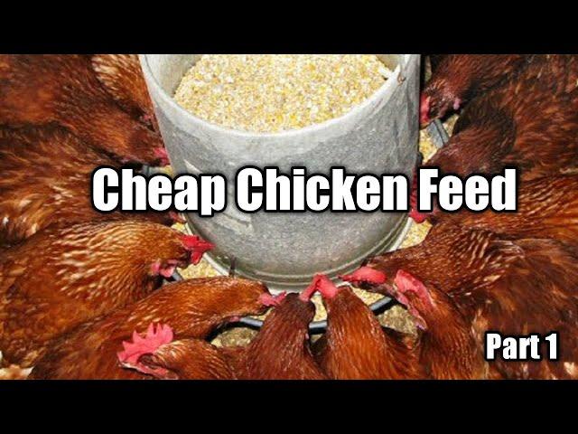 Cheap Chicken Feed Formulation Part 1