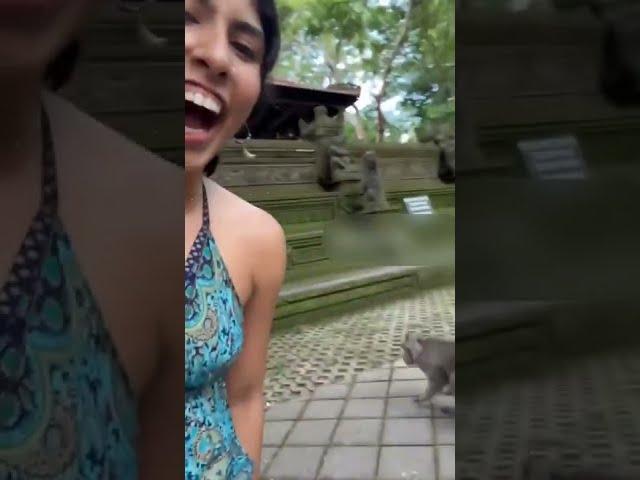 Naughty Monkey Lifts Woman’s Dress, She Swats His Hand Away.#shorts #monkey