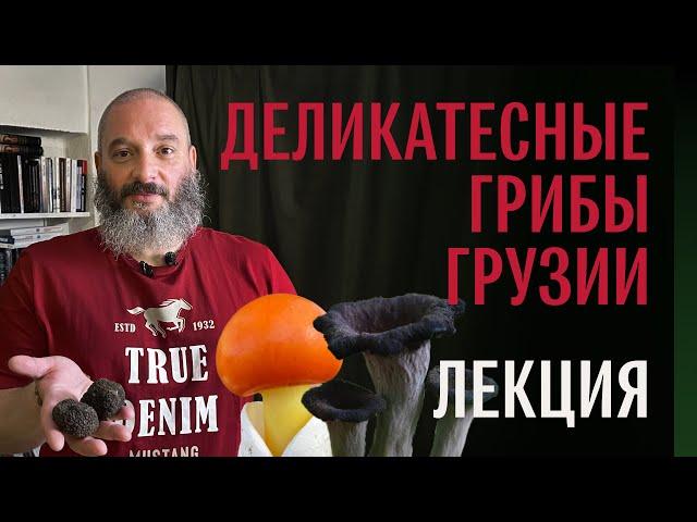 Деликатесные грибы Грузии. Михаил Вишневский. Лекция в Тбилиси