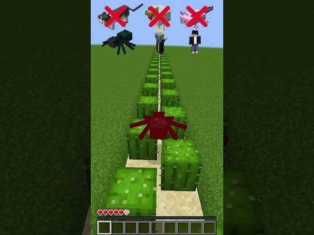 Minecraft Cactus vs Different Mobs Challenge (はいよろこんで) #minecraft #shorts