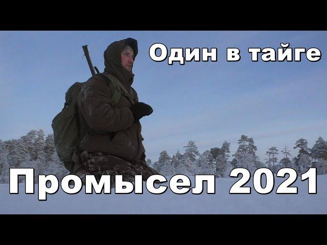 Промысел 2021,один в тайге,зимовье,быт,вдали от цивилизации #3