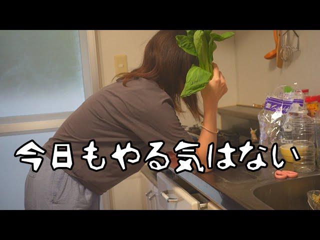 【夕飯作り】やる気ないけど毎日作らなアカン主婦の10日間の台所に密着【料理/家事/ズボラ】