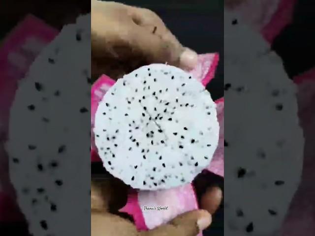  Dragon fruit juice .. | Dragon fruit milk shake #shorts #youtubeshorts #trending