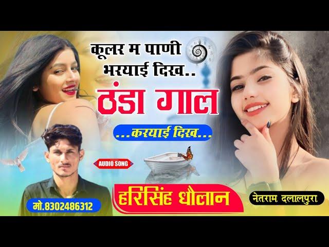 hari singh dholan !! कुलर मैं पाणी भरयाई दिख ठंडा ठंडा गाल करयाई दिख।। harisingh Dholan meena song