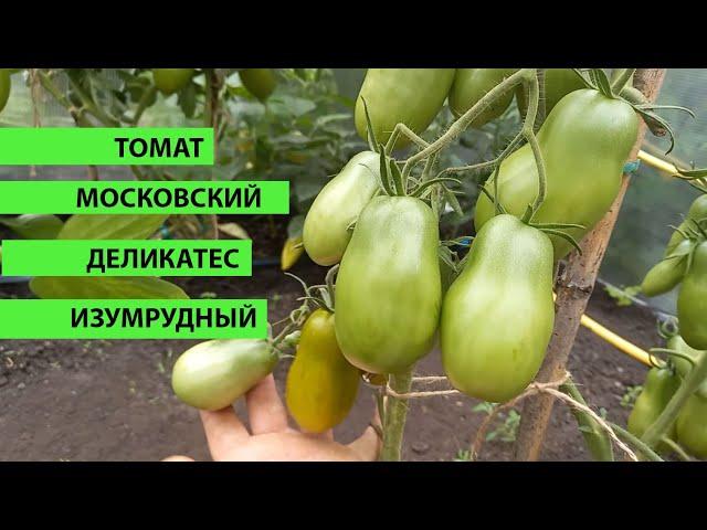 Томат МОСКОВСКИЙ ДЕЛИКАТЕС ИЗУМРУДНЫЙ, очень вкусное томатное чудо с фруктово-томатным вкусом