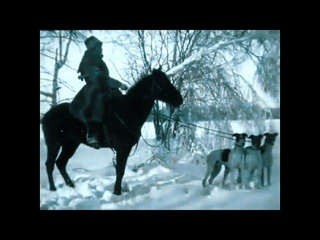 Russian Hunting. Dog vs Wolf. Borzoi Russian Wolfhound. 1910 Documentary.