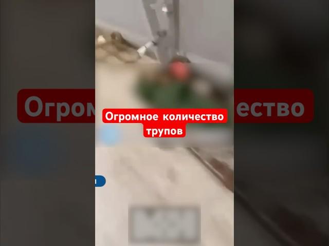 ВИДЕО ИЗ РОСТОВА! Горы российских солдат  #shorts #россияне  #сво