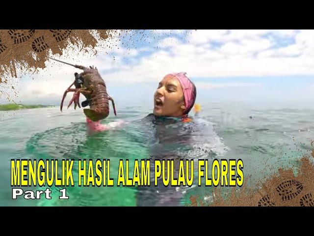 MENGULIK HASIL ALAM PULAU FLORES | JEJAK PETUALANG (30/04/24) Part 1