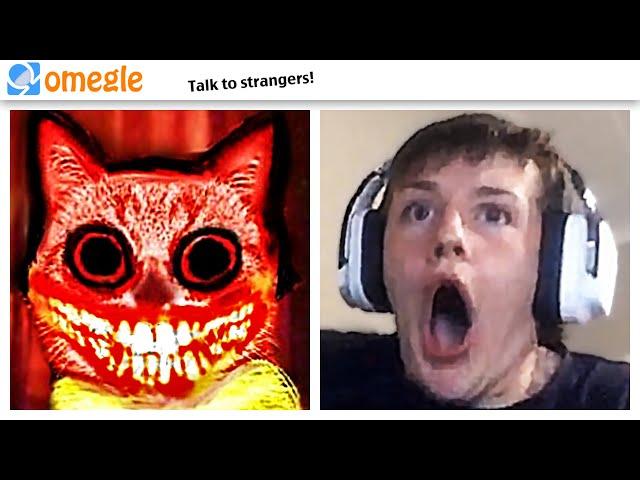 cute cat JUMPSCARE TROLLING on OMEGLE