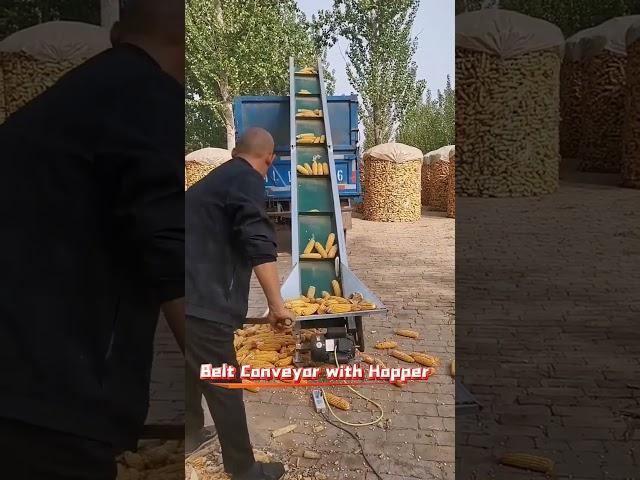 Belt Conveyor with Hopper