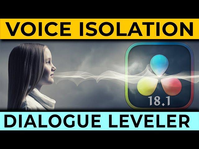 Voice Isolation & Dialogue Leveler in DEPTH | Everything You NEED to Know with Examples!