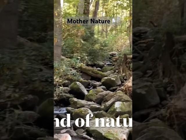 Save the earth Mother Nature. #waterfall #relaxingmusic #waterfall #hiking #travel