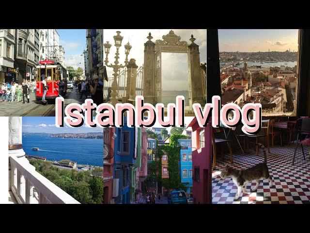 Istanbul vlog|meet 53 cats|Bosporus cruise|ottoman legacies|world capital|Turkish vibe