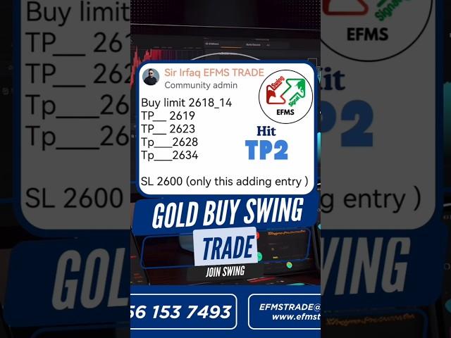 Swing trade system is best system
