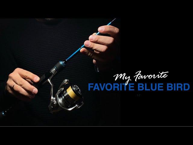 Бюджетный Ультралайт | Favorite Blue Bird 1-7