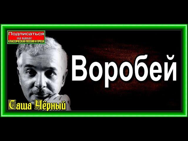 Воробей  Саша Чёрный читает Павел Беседин