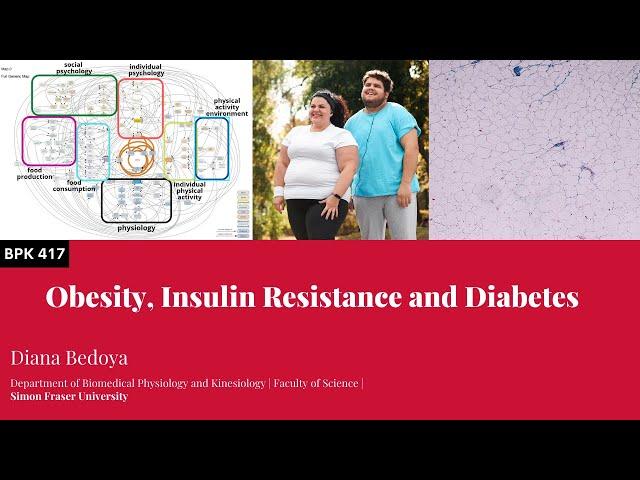 Obesity, Insulin Resistance and Diabetes