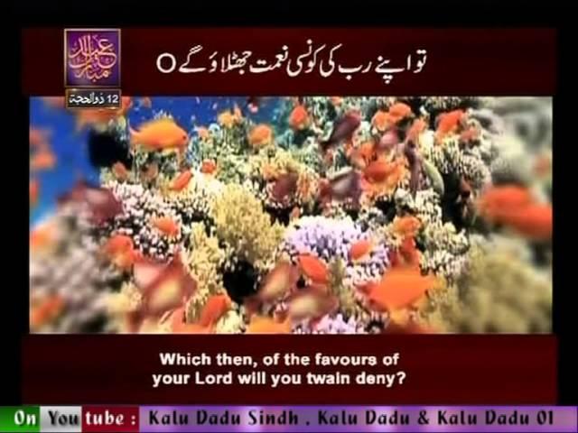 Surah Ar Rehman n° 55 Urdu & English Translate By Qtv