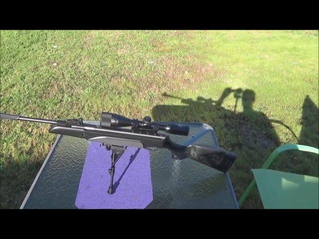 Stoeger A30 Accuracy Testing Jsb Hades & Ultra Shock & Rws Hobby