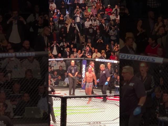 UFC 217 - GSP / Bisping ending