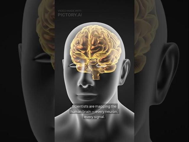 Will You Be Able to Upload Your Brain?