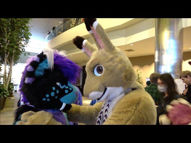 Kitwana's Fursuiting Frenzy: Anthro New England 2024