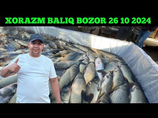 HAZORASP BALIQ BOZORI 26 10 2024 ‼️