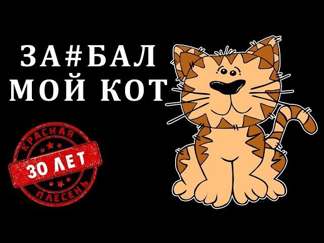 Красная Плесень - Заебал мой кот | Лучшие песни