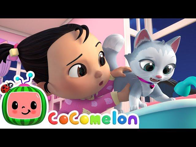 Cece's Kitty Cat Play Song!  | CoComelon Nursery Rhymes & Kids Songs