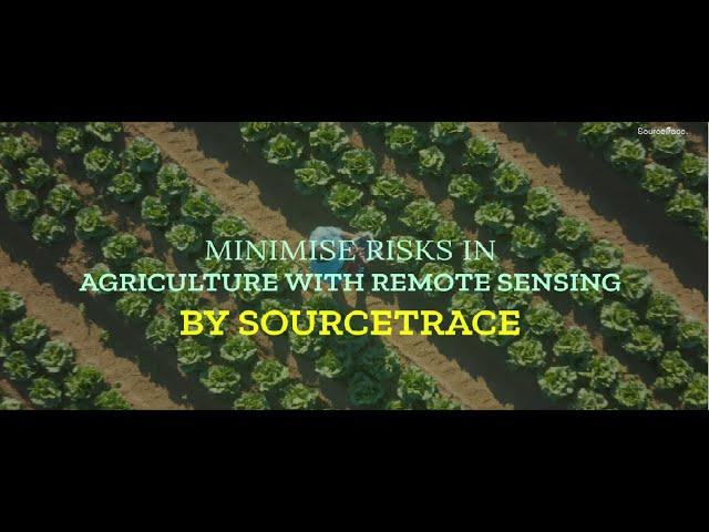 MINIMISE RISKS IN AGRICULTURE WITH REMOTE SENSING BY SOURCETRACE