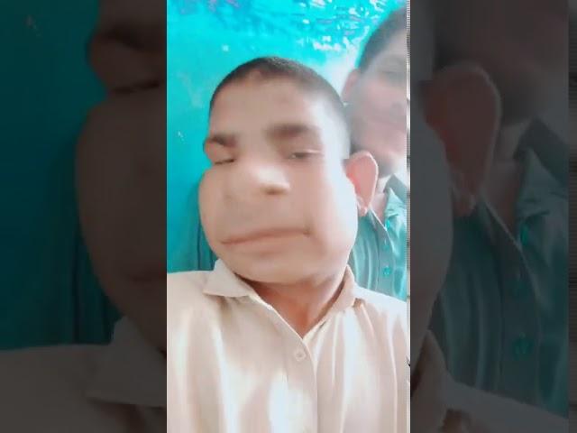 funny video