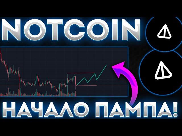 NOTCOIN ПОКАЗЫВАЕТ ЗАТИШЬЕ ПЕРЕД БУРЕЙ! ДАМП НОТ ПЕРЕД ПРОРЫВОМ! - НОТКОИН СЕГОДНЯ