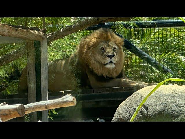 Perth Zoo Western Australia