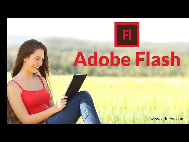 What is adobe flash