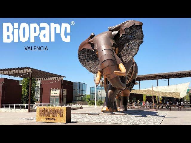 Bioparc Valencia - Full Walking Zoo Tour