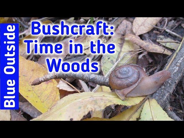 Bushcraft. Time in the Woods, Fire Reflector, Flint and Steel Fire