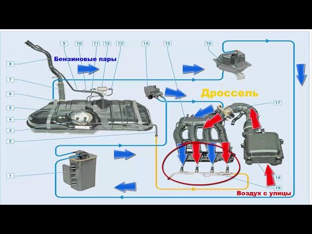 Adsorber, EVAP system errors. Symptoms of malfunction and checking the canister purge valve