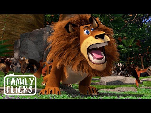 Wild With Hunger | Madagascar (2005) | Family Flicks