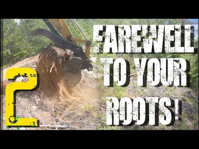 Building a Cabin in the Woods Series:#02 "Farewell to you roots"