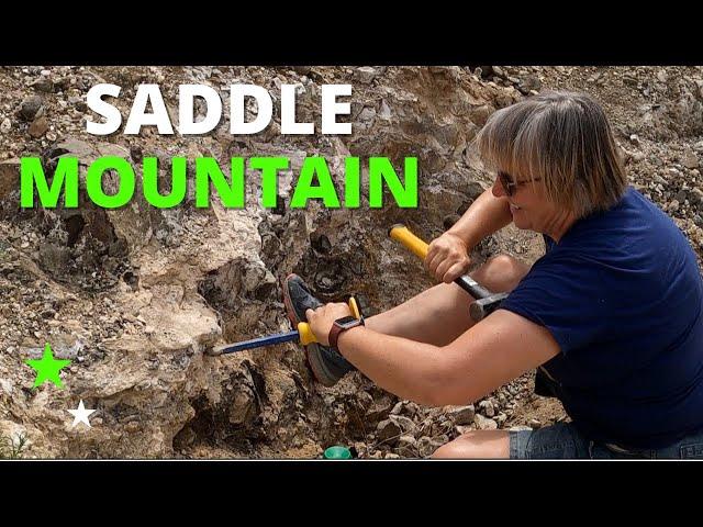 SADDLE MOUNTAIN: Digging Basalt & Petrified Wood in Washington State