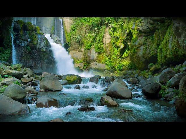 Relaxing sound of waterfalls, forest streams for deep sleep, stress relief, healing