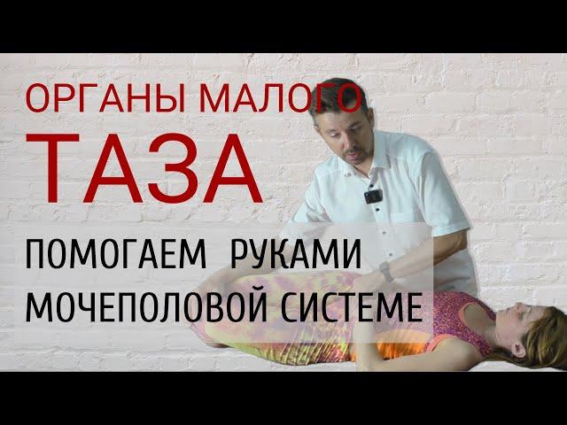 ОРГАНЫ МАЛОГО ТАЗА. Как самостоятельно улучшить функцию? Эффективные остеопатические техники.